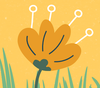 Picture of a yellow flower